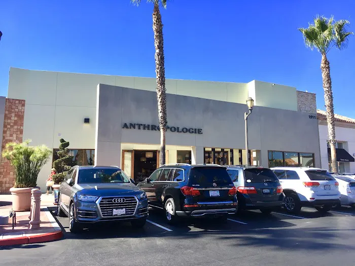 Anthropologie 2