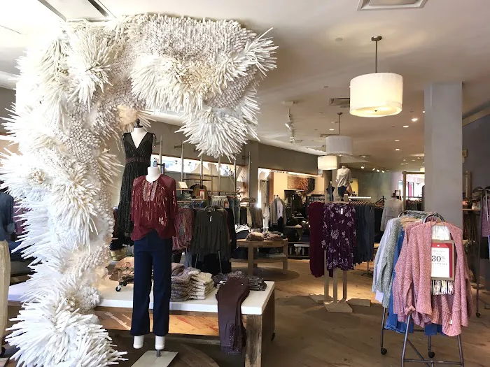 Anthropologie 0