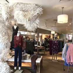 Anthropologie ico