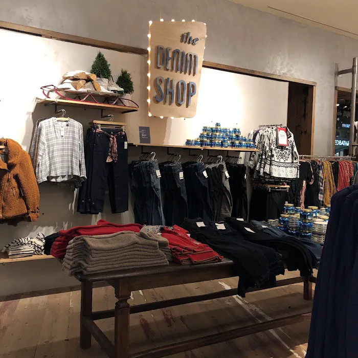 Anthropologie 4