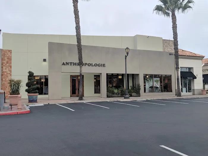 Anthropologie 3
