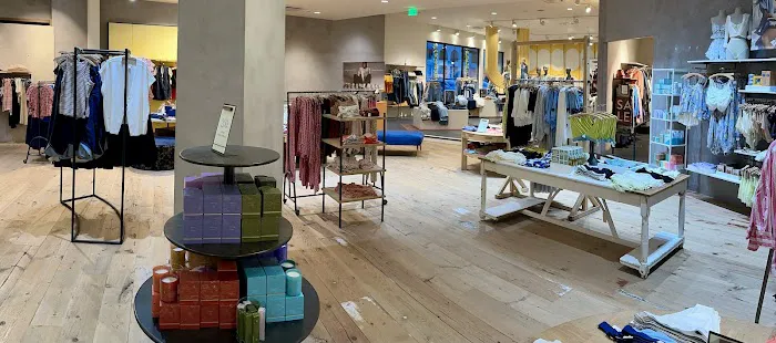 Anthropologie 7