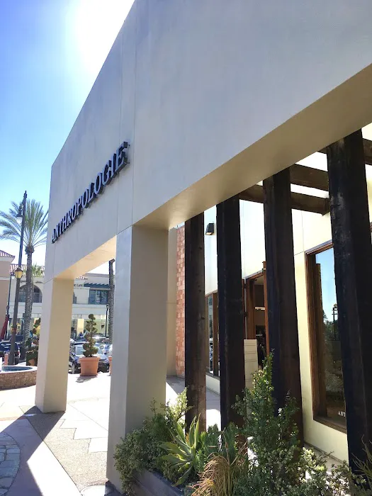 Anthropologie 9