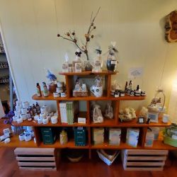 The Aromatherapy Shoppe ico