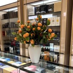 Perfume Addict ico