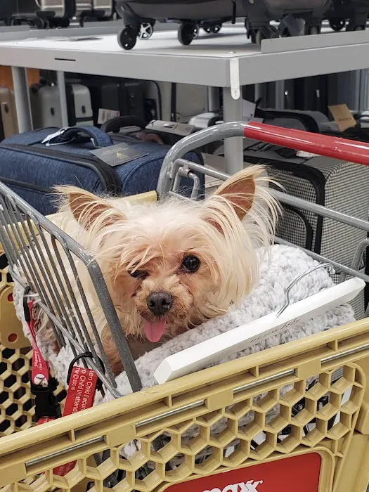 T.J. Maxx & HomeGoods 3