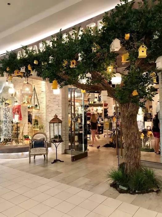 Altar'd State Lynnhaven Mall 8