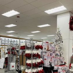 Kohl's ico