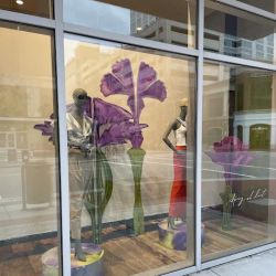 Anthropologie ico