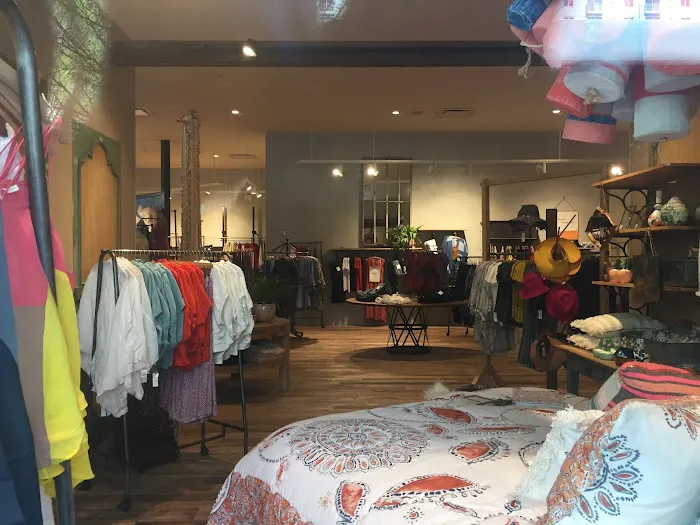 Anthropologie 2