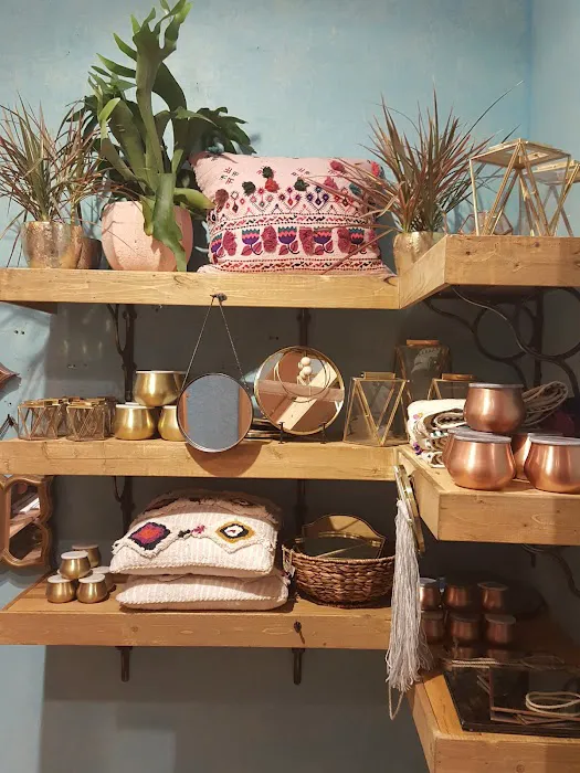 Anthropologie 3