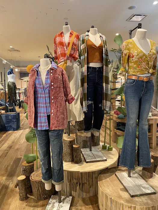 Anthropologie 7