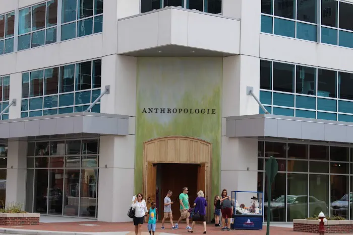 Anthropologie 8