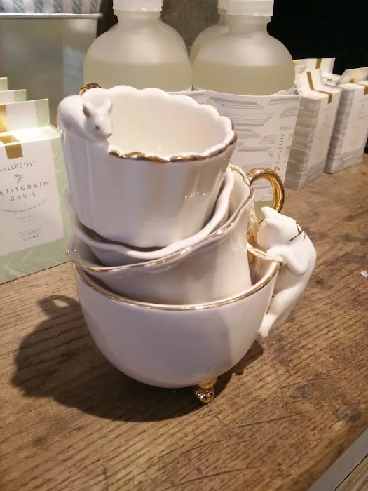 Anthropologie 9