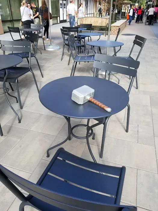 Kate Spade Outlet 8