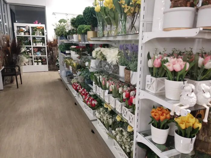 HomeGoods 0
