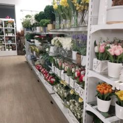 HomeGoods ico