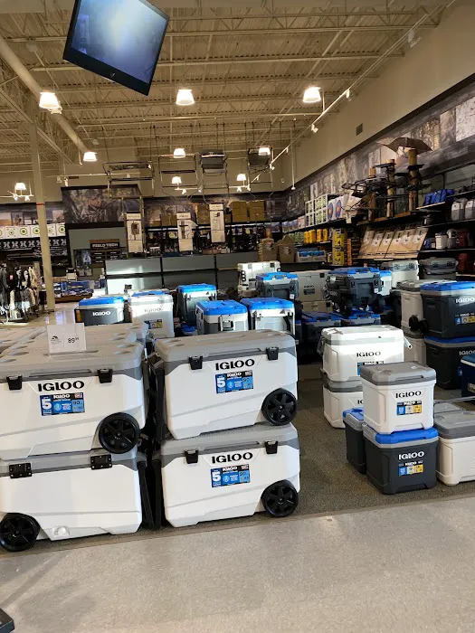 Five Below 1