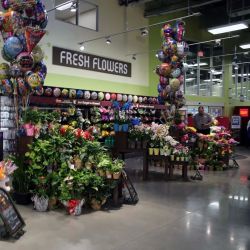 Kroger ico