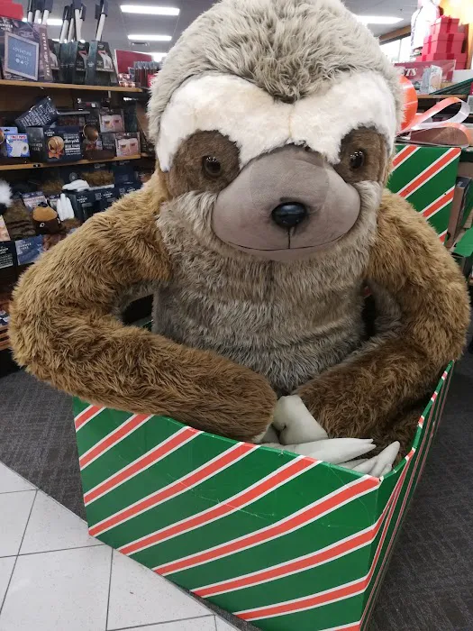 Kohl's 2