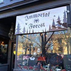 Immortal Forest ico