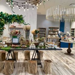 Anthropologie ico