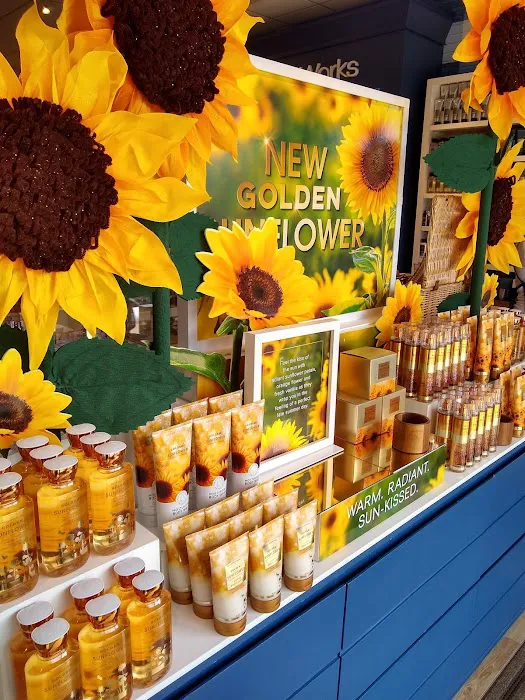 Bath & Body Works 3