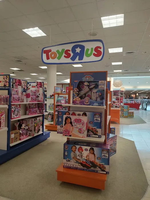 Macy's 7