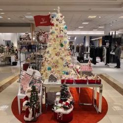 Neiman Marcus ico