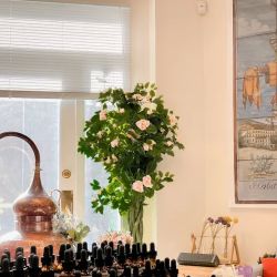 DIY Scent Studio Perfumery ico