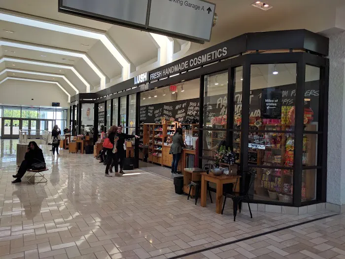 Lush Cosmetics Tyson Center 2