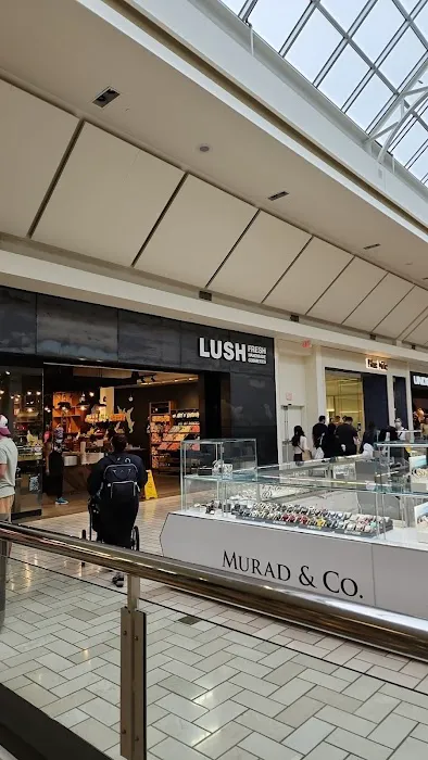 Lush Cosmetics Tyson Center 6