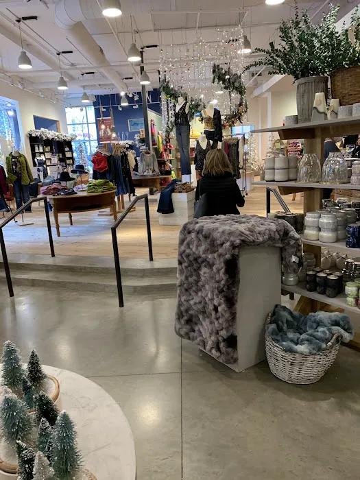 Anthropologie 2