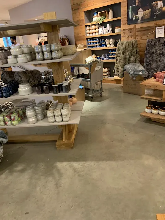 Anthropologie 5