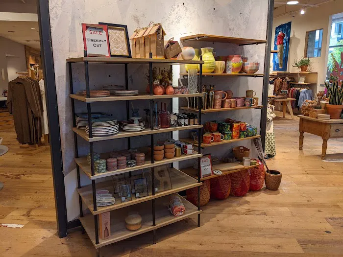 Anthropologie 8
