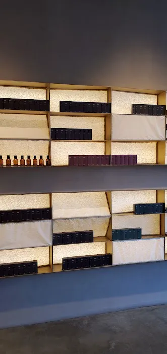 Aesop Shaw DC 6