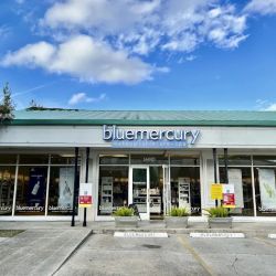 Bluemercury ico