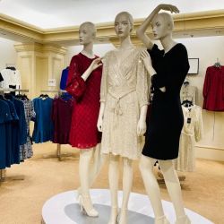 Dillard's ico
