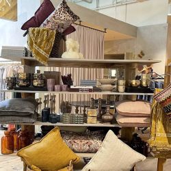 Anthropologie ico