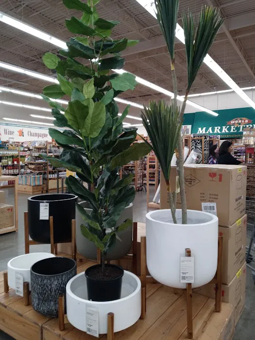 World Market 5
