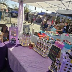 Osborne Soaps & Cosmetics, Llc ico