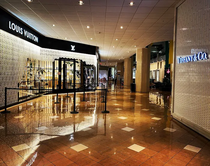 Louis Vuitton New Orleans 9
