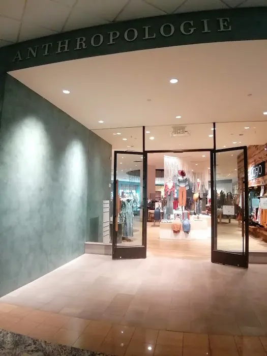 Anthropologie 0