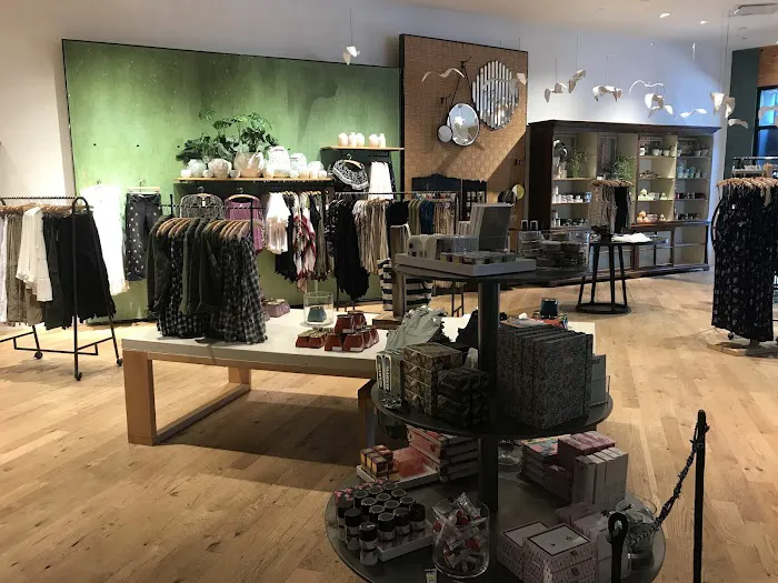 Anthropologie 1