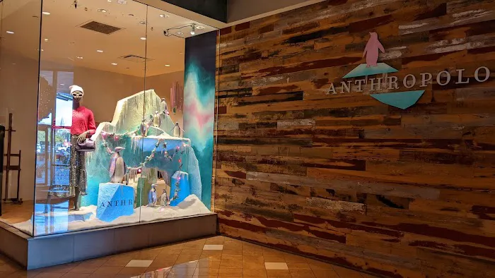 Anthropologie 3