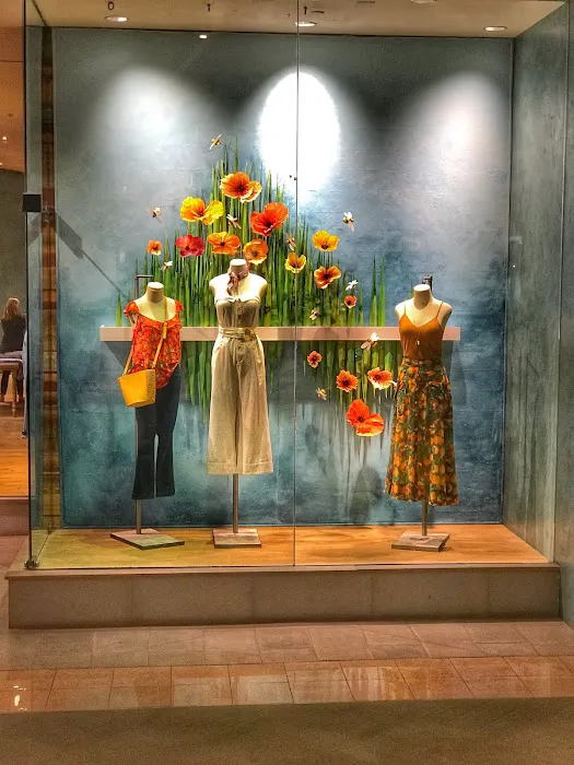 Anthropologie 6
