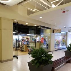 Tommy Bahama Outlet ico
