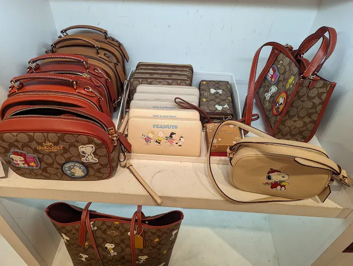 COACH Outlet 2