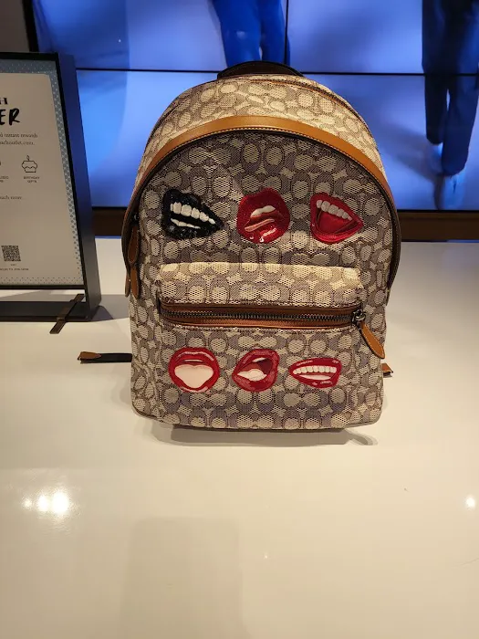 COACH Outlet 4