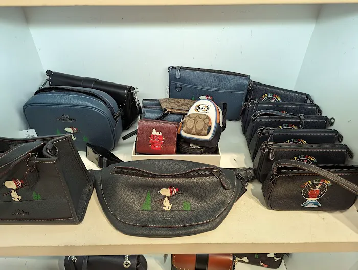 COACH Outlet 5